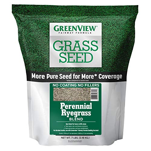 GreenView Fairway Formula Grass Seed Perennial Ryegrass Blend - 7 ...
