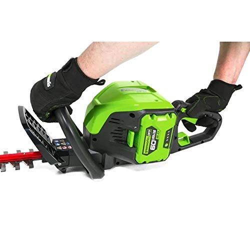 Greenwork Pro HT60B00 60-Volt Max 24-in Dual Cordless Electric Hed...