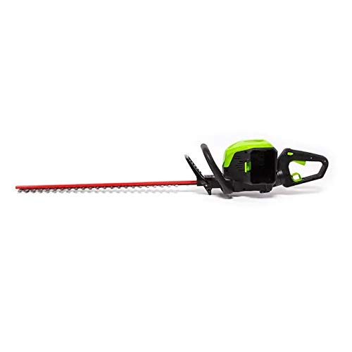 Greenwork Pro HT60B00 60-Volt Max 24-in Dual Cordless Electric Hed...