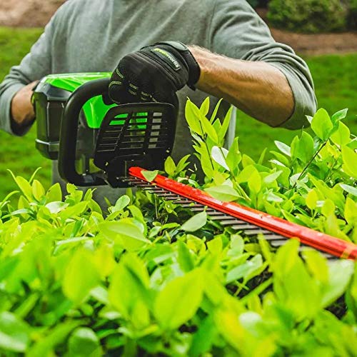 Greenwork Pro HT60B00 60-Volt Max 24-in Dual Cordless Electric Hed...