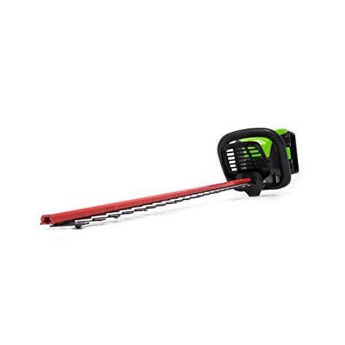 Greenwork Pro HT60B00 60-Volt Max 24-in Dual Cordless Electric Hed...