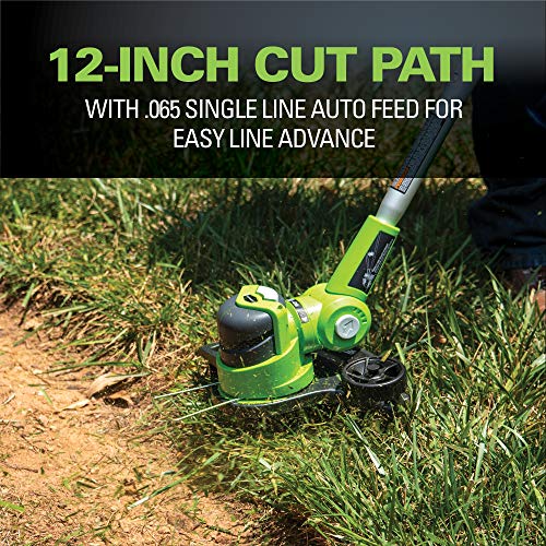 Greenworks 12-Inch 24V Cordless String Trimmer/Edger, 2.0 AH Batte...