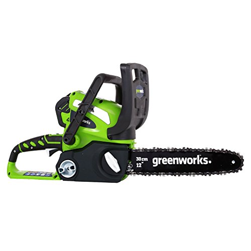 Greenworks 12-Inch 40V Cordless Chainsaw, 2.0 AH Battery Included ...
