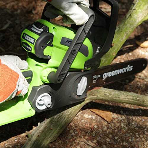 Greenworks 12-Inch 40V Cordless Chainsaw, 2.0 AH Battery Included ...