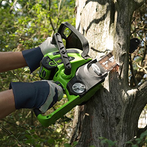 Greenworks 12-Inch 40V Cordless Chainsaw, 2.0 AH Battery Included ...