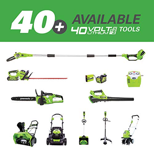 Greenworks 12-Inch 40V Cordless Chainsaw, 2.0 AH Battery Included ...
