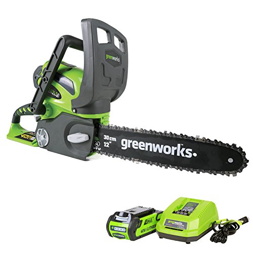 Greenworks 12-Inch 40V Cordless Chainsaw, 2.0 AH Battery Included ...