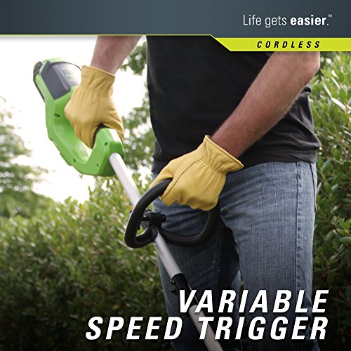 Greenworks 12-Inch 40V Cordless String Trimmer, 2.0Ah Battery and ...