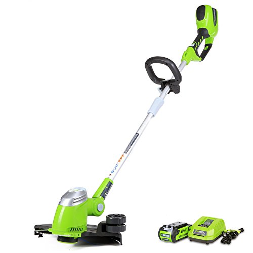 Greenworks 13-Inch 40V Cordless String Trimmer/Edger, 2.0 AH Batte...