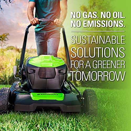 Greenworks 2 x 24V 48V 17 Brushless Lawn Mower, 2 4Ah USB Bat...