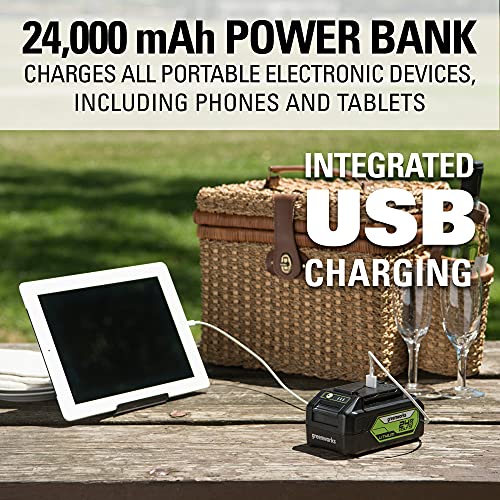 Greenworks 2 x 24V 48V 17 Brushless Lawn Mower, 2 4Ah USB Bat...