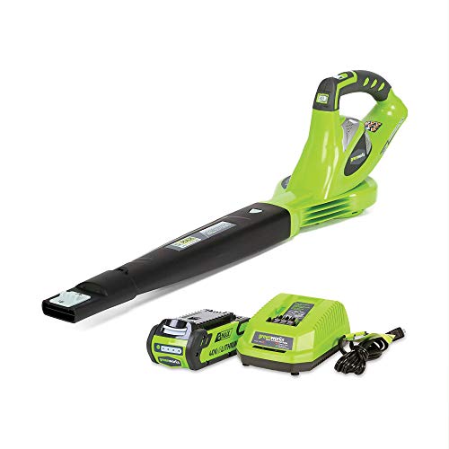 Greenworks 24252 40V 150 MPH Variable Speed Cordless Leaf Blower, ...