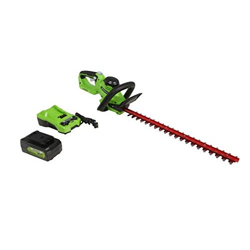 Greenworks 24V 22 Laser Cut Hedge Trimmer, 4Ah USB Battery and ...