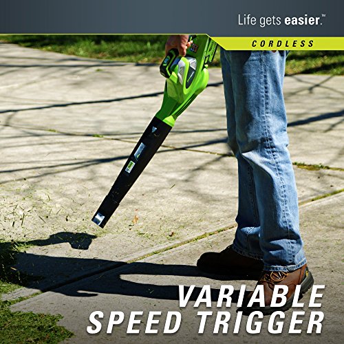 Greenworks 40V 150 MPH Variable Speed Leaf Cordless Blower, Batter...