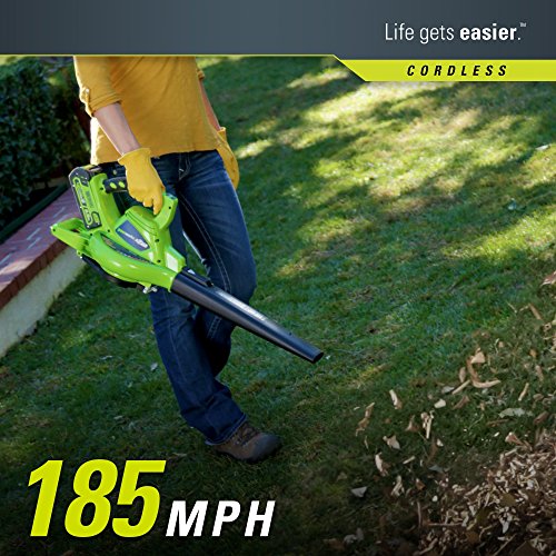 Greenworks 40V 185 MPH Variable Speed Cordless Leaf Blower/Vacuum,...