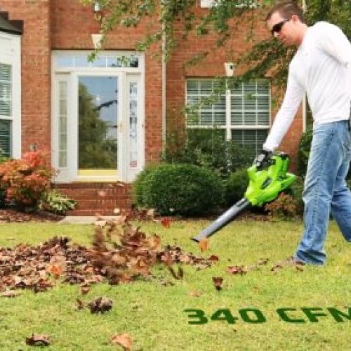 Greenworks 40V 185 MPH Variable Speed Cordless Leaf Blower/Vacuum,...