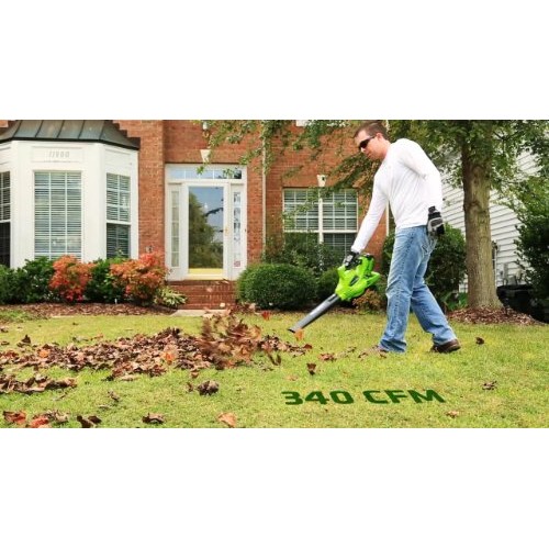 Greenworks 40V 185 MPH Variable Speed Cordless Leaf Blower/Vacuum,...