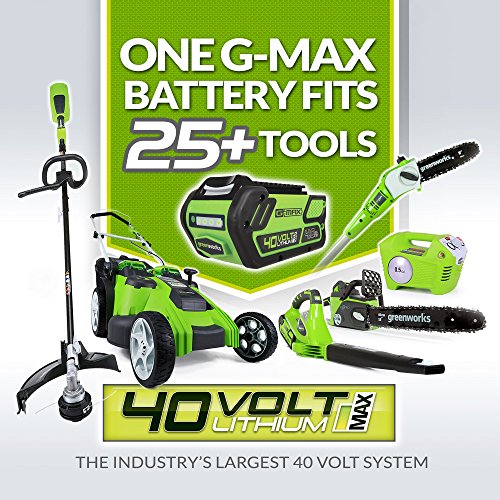 Greenworks 40V 185 MPH Variable Speed Cordless Leaf Blower/Vacuum,...