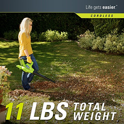 Greenworks 40V 185 MPH Variable Speed Cordless Leaf Blower/Vacuum,...