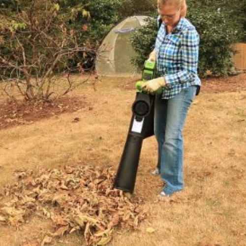 Greenworks 40V 185 MPH Variable Speed Cordless Leaf Blower/Vacuum,...
