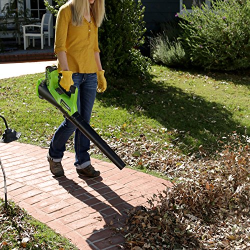 Greenworks 40V Electric Leaf Blower, 430 CFM / 115 MPH, 2.0Ah Batt...