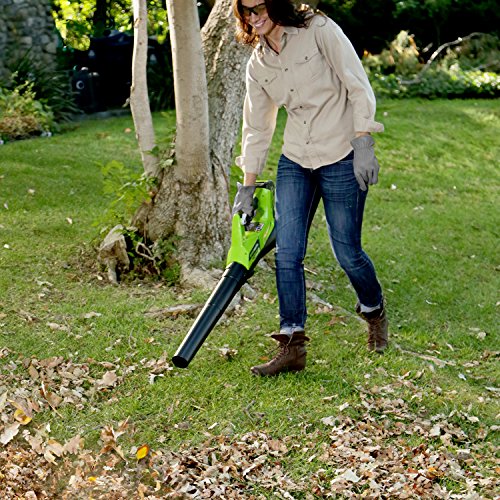 Greenworks 40V Electric Leaf Blower, 430 CFM / 115 MPH, 2.0Ah Batt...