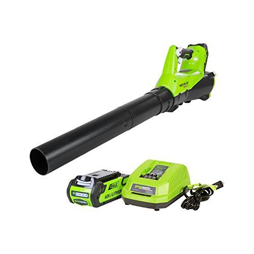 Greenworks 40V Electric Leaf Blower, 430 CFM / 115 MPH, 2.0Ah Batt...
