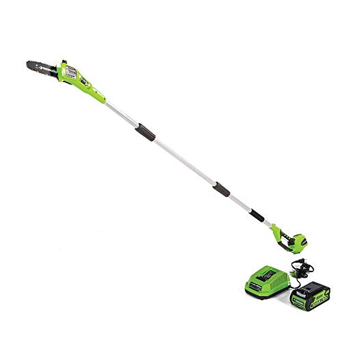 Greenworks 8.5 40V Cordless Pole Saw, 2.0 AH Battery Included 20672
