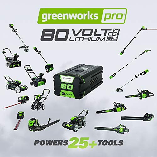 Greenworks 80V 145MPH - 580CFM Cordless Backpack Leaf Blower, 2.5A...
