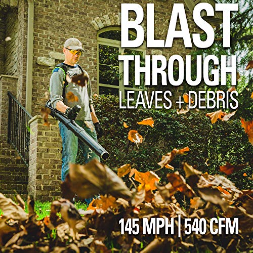 Greenworks 80V 145MPH - 580CFM Cordless Backpack Leaf Blower, 2.5A...