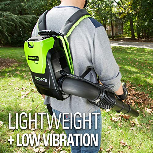 Greenworks 80V 145MPH - 580CFM Cordless Backpack Leaf Blower, 2.5A...