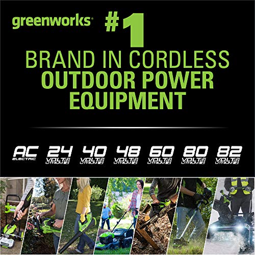 Greenworks 80V 145MPH - 580CFM Cordless Backpack Leaf Blower, 2.5A...