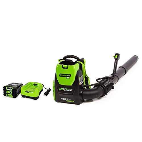 Greenworks 80V 145MPH - 580CFM Cordless Backpack Leaf Blower, 2.5A...