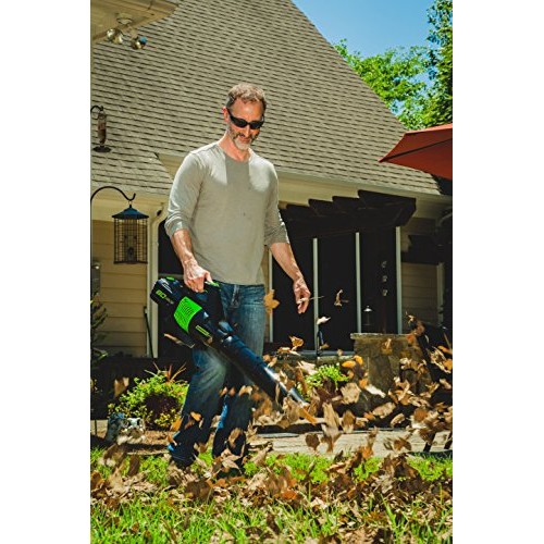 Greenworks 80V Jet Electric Leaf Blower, 2.5Ah Battery and Charger...