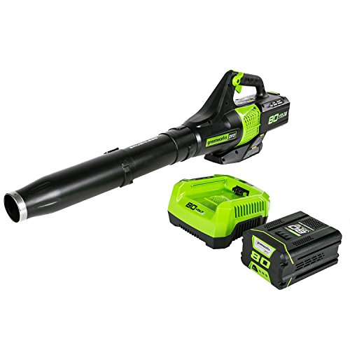 Greenworks 80V Jet Electric Leaf Blower, 2.5Ah Battery and Charger...