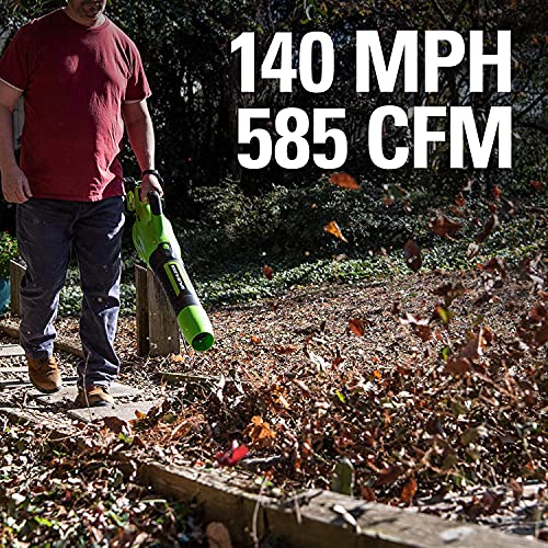 Greenworks BL48L4410 Axial Leaf Blower, Brushless, Green