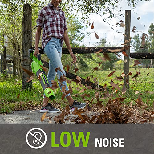 Greenworks BL48L4410 Axial Leaf Blower, Brushless, Green