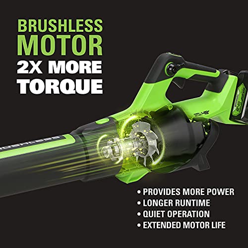 Greenworks BL48L4410 Axial Leaf Blower, Brushless, Green