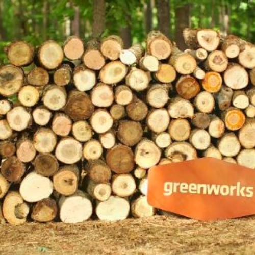 Greenworks G-MAX 40V 16-Inch Cordless Chainsaw, 4AH Battery and a ...