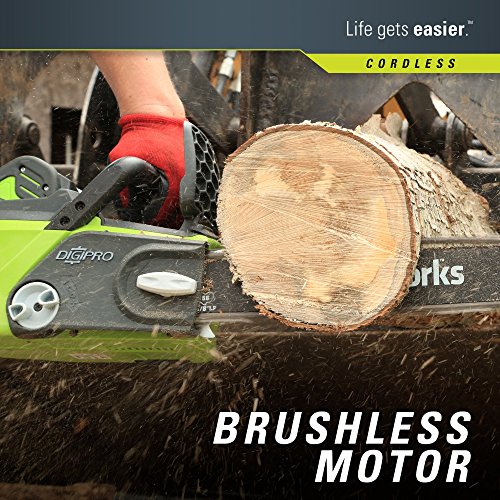 Greenworks G-MAX 40V 16-Inch Cordless Chainsaw, 4AH Battery and a ...