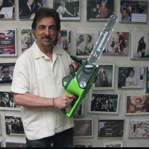 Greenworks G-MAX 40V 16-Inch Cordless Chainsaw, 4AH Battery and a ...