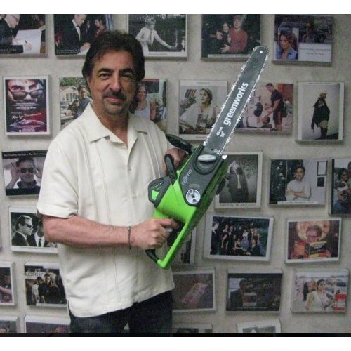 Greenworks G-MAX 40V 16-Inch Cordless Chainsaw, 4AH Battery and a ...