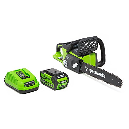 Greenworks G-MAX 40V 16-Inch Cordless Chainsaw, 4AH Battery and a ...