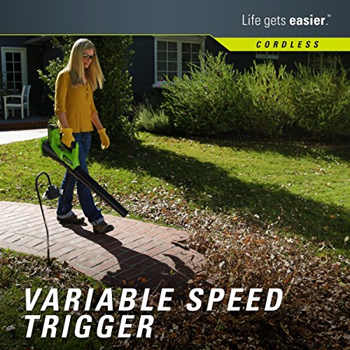 Greenworks G-MAX 40V Cordless String Trimmer and Leaf Blower Combo...
