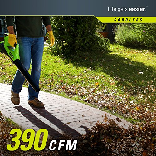 Greenworks G-MAX 40V Cordless String Trimmer and Leaf Blower Combo...