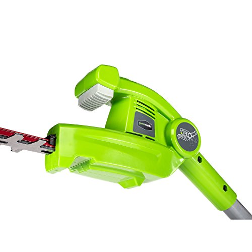 Greenworks PH40B210 20-Inch 40V Cordless Pole Hedge Trimmer 2.0 AH...