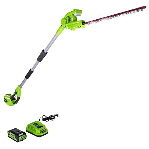 Greenworks PH40B210 20-Inch 40V Cordless Pole Hedge Trimmer 2.0 AH...