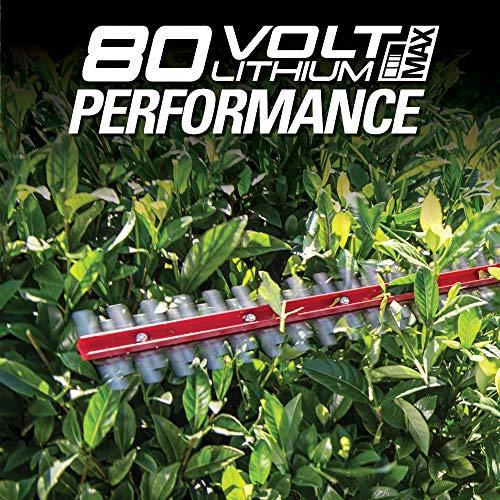 Greenworks PH80B210 20-Inch 80V Cordless Pole Hedge Trimmer, 20 in...