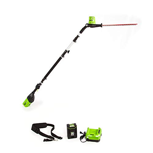 Greenworks PH80B210 20-Inch 80V Cordless Pole Hedge Trimmer, 20 in...