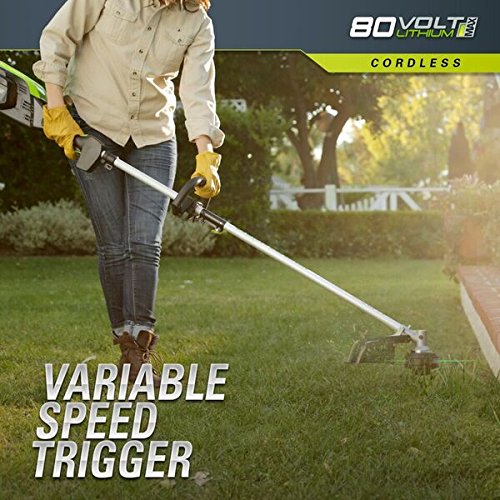 Greenworks PRO 16-Inch 80V Cordless String Trimmer Attachment Cap...